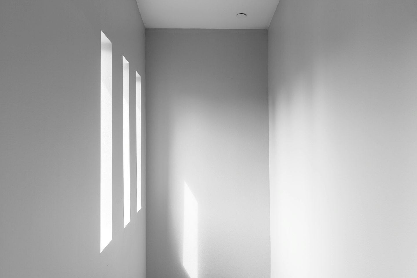 Sonnenlicht fällt durch hohe Fenster in einen modernen Raum.